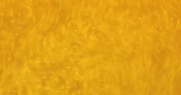 un verre de bière froide et délicieuse en détail