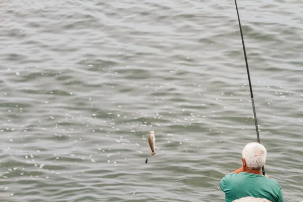 Older man takes a fish from the sea seen from above