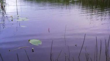 Gölde balıkçılık float