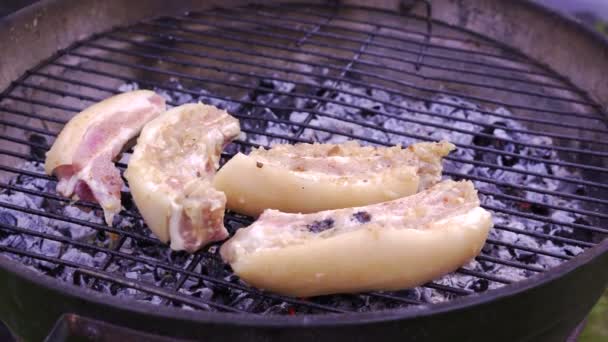 Koch blättert Fleisch auf dem Grill. Grillfleisch auf dem Grill zubereiten, aus nächster Nähe. Hammel- oder Schweinegrillen. — Stockvideo