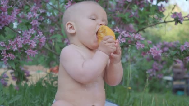 Um bebê feliz comendo uma laranja na natureza  . — Vídeo de Stock