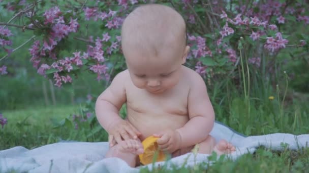 A happy baby eating an orange in the nature . — Stock Video