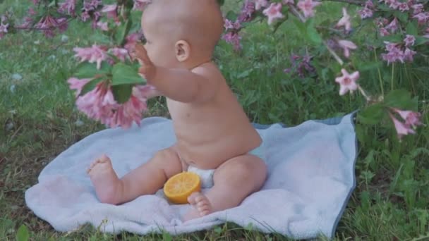 Egy boldog baba eszik a narancs, a természetben . — Stock videók