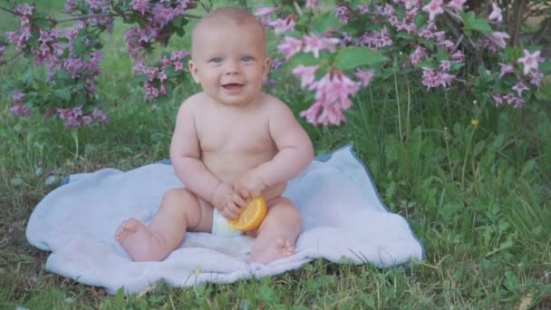 Un bebé feliz comiendo una naranja en la naturaleza  . — Vídeos de Stock