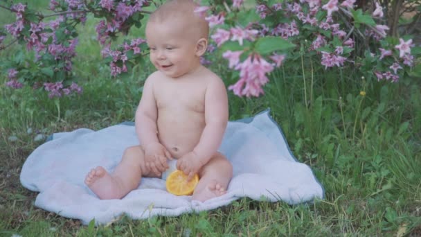 Un bébé heureux mangeant une orange dans la nature  . — Video