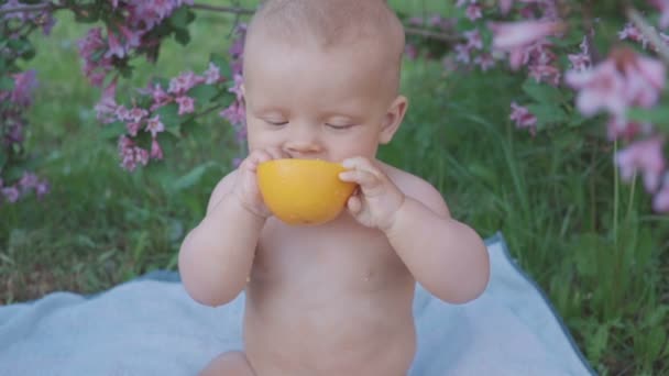 Un bebé feliz comiendo una naranja en la naturaleza  . — Vídeos de Stock