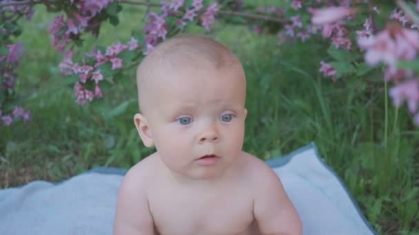 A happy baby eating an orange in the nature . — Stock Video