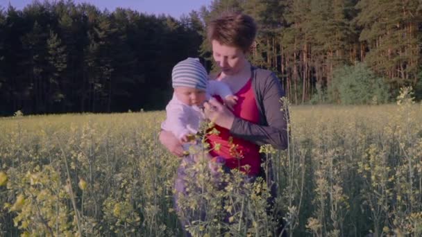 Mamma sätter barnet i en raps fält Slow motion — Stockvideo