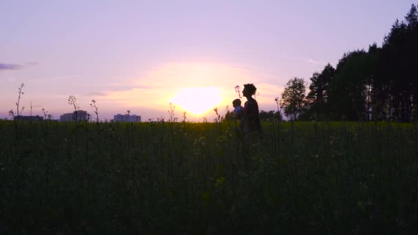 Boldog család újszülött játszik a Repce field. Sziluettek. — Stock videók