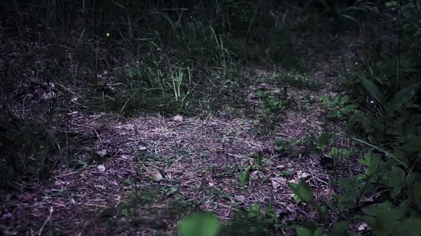 La poupée tombe au sol asphalte, sable, herbe — Video