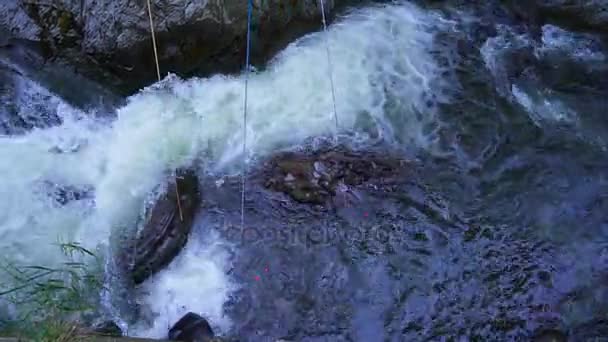 Trois amis pêchent sur une rivière de montagne en vacances — Video