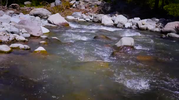 Kleiner schöner Fluss fließt zwischen Felsen und Bäumen. — Stockvideo