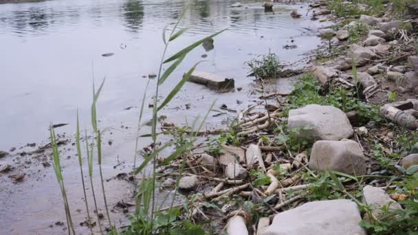 Una gran cantidad de basura que contamina nuestras aguas — Vídeos de Stock