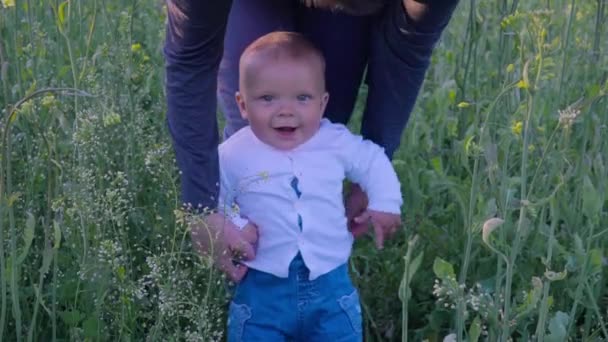 赤ちゃん菜種フィールド スローモーションで歩くことを学ぶ — ストック動画