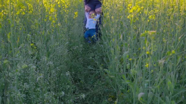 Bambino per imparare a camminare in un campo di stupri rallentatore — Video Stock