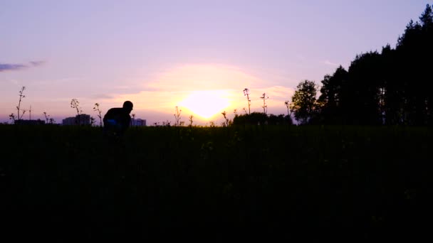 Bonne famille avec des jeux de nouveau-nés dans le champ de colza. Silhouettes . — Video