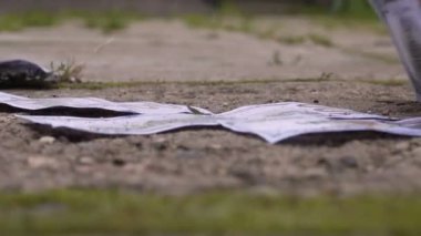 Süpürge kaldırım arka plan üzerinde çöp Kepçe dolar piyango