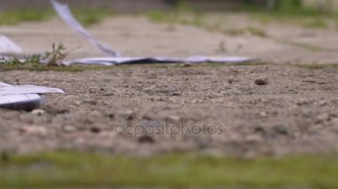 Süpürge kaldırım arka plan üzerinde çöp Kepçe dolar piyango