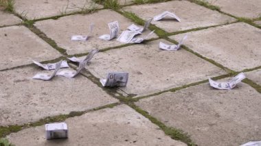 Rüzgar kaldırım boyunca para sinek yakın çekim