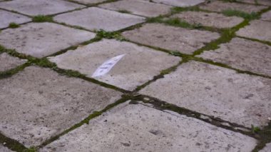 Düşen dolar kaldırım, kaldırım