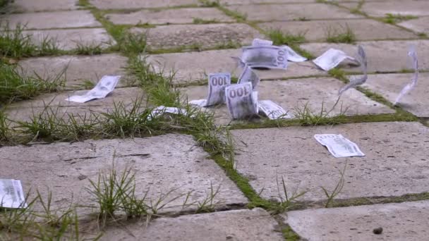 Geld fliegt aus nächster Nähe über den Bürgersteig — Stockvideo