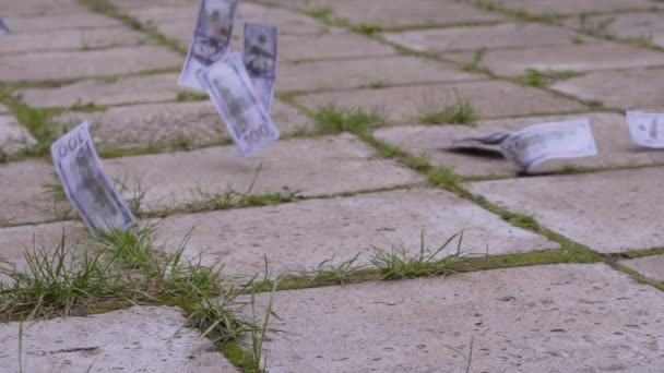 Fallande dollar på trottoaren, sidewalk — Stockvideo