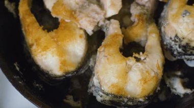 Tavada kızarmış balık biftek. Büyük pike balık bir tavada kızartma.