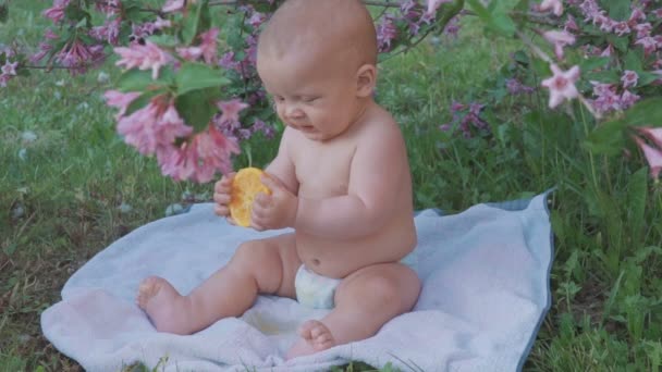 En glad bebis äta en apelsin i naturen . — Stockvideo