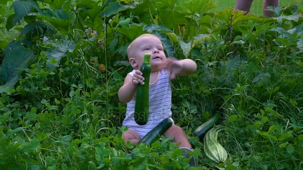Kleiner Junge sitzt mit Zucchini in der Hand — Stockvideo