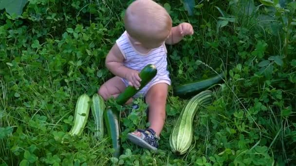 Kleiner Junge sitzt mit Zucchini und sieht aus — Stockvideo