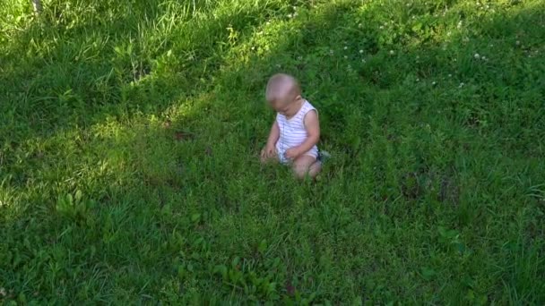 작은 아기는 평화롭게 잔디에 앉아 — 비디오