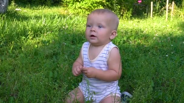 Pequeno bebê está sentado na grama — Vídeo de Stock