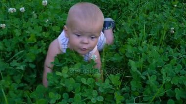 küçük çocuk çimlere sürünür