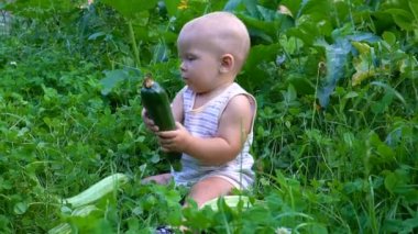 Kabak ile oturan küçük çocuk