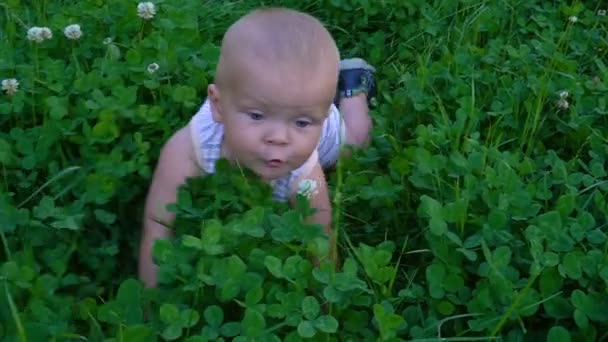 Jongetje kruipt op het gras — Stockvideo