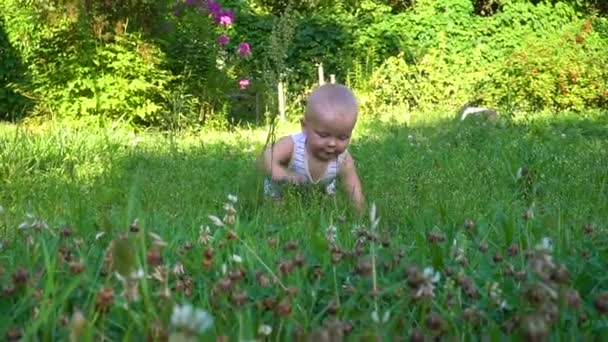 작은 아기 잔디에 앉아서 크롤링 — 비디오