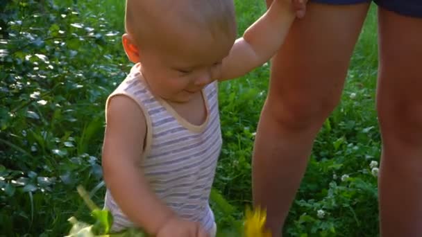 El niño camina con flores amarillas — Vídeos de Stock