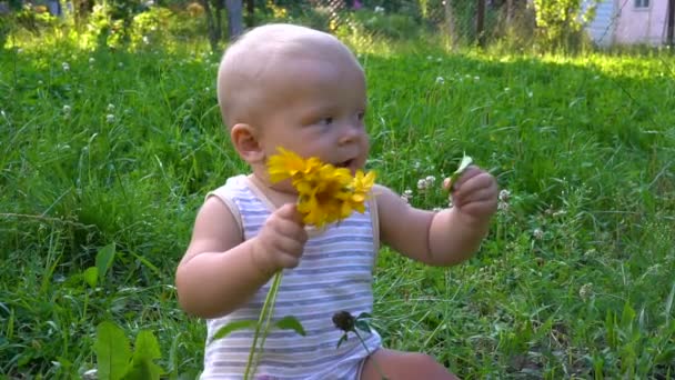 Mooi kind zit met een bloem in zijn handen en probeert het — Stockvideo