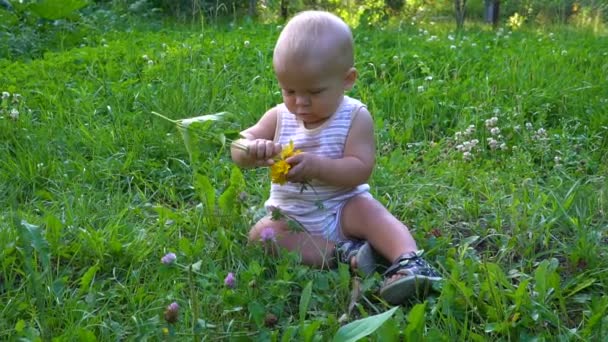 Красива дитина сидить, розриває квітку — стокове відео