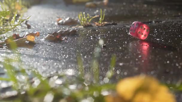Red dice falls on a concrete slab in slow motion — Stock Video