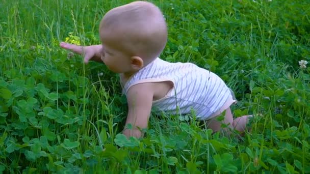 A criança rasteja na grama — Vídeo de Stock