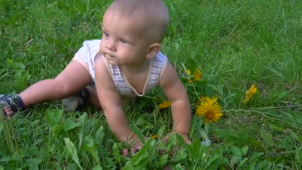 A bela criança rasteja na grama — Vídeo de Stock