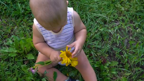 Όμορφο παιδί κάθεται με ένα λουλούδι στα χέρια του και εξετάζει τη φωτογραφική μηχανή — Αρχείο Βίντεο