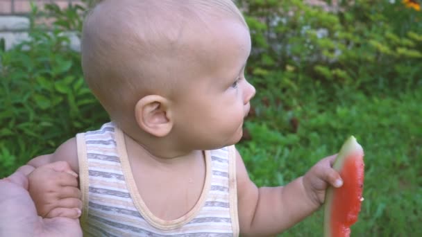 O bebé está a comer uma melancia. — Vídeo de Stock