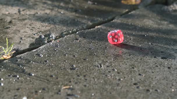 Dés rouges roulant sur une dalle de béton au ralenti — Video