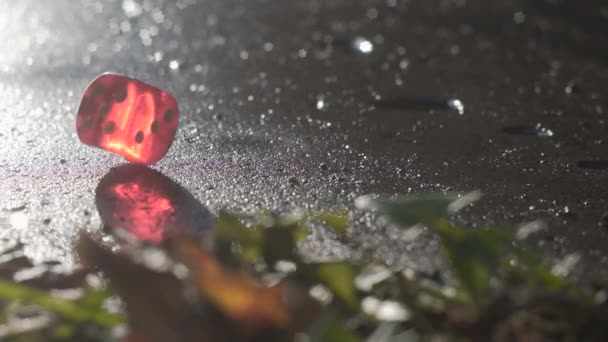 Dados rojos rodando en una losa de hormigón en cámara lenta — Vídeos de Stock