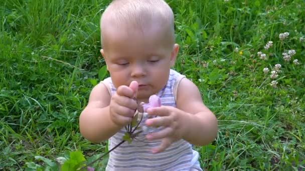 Το μωρό κάθεται με ένα λουλούδι στα χέρια του — Αρχείο Βίντεο