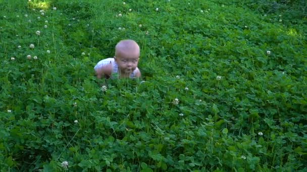 Baby jongetje kruipt op het gras — Stockvideo