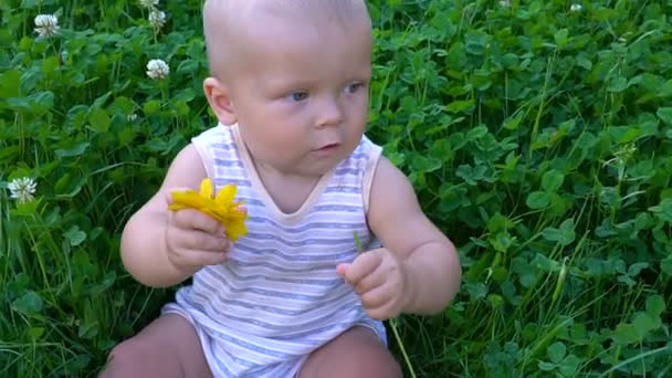 Όμορφο παιδί κάθεται με ένα λουλούδι στα χέρια του και τα δάκρυα τα πέταλα — Αρχείο Βίντεο