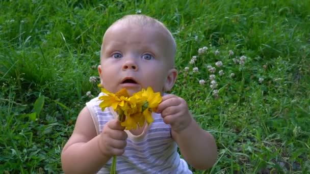 Hermoso niño con ojos azules está sentado con una flor en sus manos — Vídeos de Stock